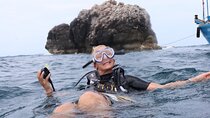 Full Day Diving Activity in Thailand with Lunch