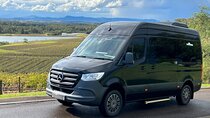 Private Hunter Valley Wine Day Tour from Sydney luxury Mercedes