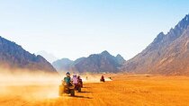 Hurghad Quad Biking, Bedouin Village and Camel Ride Experience 