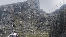 Small Group Table Mountain Penguin Colony and Cape Point Tour