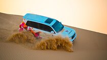 Abu Dhabi Evening Desert Safari - Private car Dune bashing & BBQ