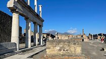From Positano: Pompeii tour with Wine and Olive oil tasting 