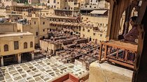 5 Hours Guided Walking Tour in Old Medina Fez