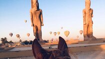 Private Horse Riding Tour in Luxor West Bank