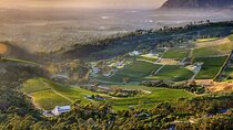  Wine Tasting in Constantia Region Cape Town 