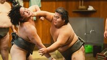 Sumo Wrestlers Morning Practice Tour – Tokyo Sumida District