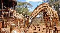 Nairobi Karen Blixen, Beads Factory and Giraffe Center Day Tour