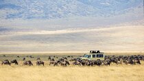 3-Day Private Safari to Lake Manyara, Tarangire & Ngorongoro