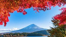Mount Fuji Day Tour by Chartered Car