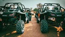 Dubai: Desert Safari Near City – Premium Dining