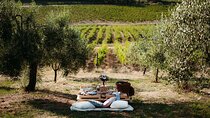 Luxury Picnic Experience in Tuscany