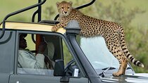 8-Days Best of Kenya Wildlife Private Safari