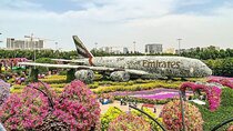 Dubai Miracle Garden and Evening Dhow Cruise Dinner Tour
