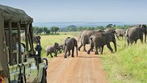 5 Days Maasai Mara And Riftvalley Lakes Safaris