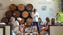 100% Caribbean Rum Tasting in Punta Cana.