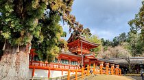 Full Day Guided Tour to Nara from Osaka by Van