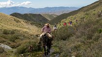 Horseback riding at sunset in the Andes