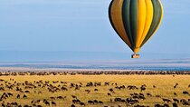 3 Days Private Tour in Maasai Mara With 4*4 Vehicle