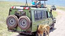 3 Days Masai Mara Classic Wildlife Safari on 4WD Jeep