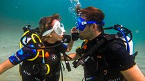 Discovery Scuba Diving in Dubai