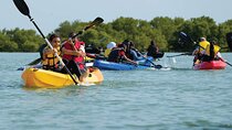 4 Hours Purple Island Mangroves Kayaking Adventure in Qatar
