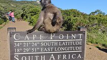 All Sights & Top Guide: Cape of Good Hope, Penguins Tour w/Pickup