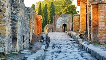 Full Day Private Tour Naples to Sorrento and Pompeii 