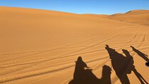 3-Day Private Tour in the Moroccan Desert