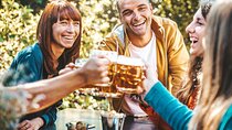 Private Full Day Bavarian Beer and Food Tour in Munich