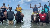 Dunns River Falls and Horseback Riding Tour from Montego Bay