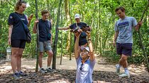 Small-group Cu-Chi Tunnel: 1-Day Ben-Duoc Temple & Liberated Zone