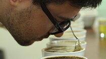 Private Coffee Tasting and Pairing Class