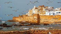 From Marrakech: Full-Day Trip to Essaouira City