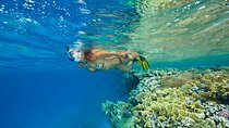 Private Full Day Snorkeling Activity in Marsa Alam
