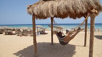 Marsa Alam Beach Full Day Private Water Activity 