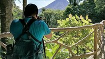  La Fortuna's 3 Essentials Private Tour