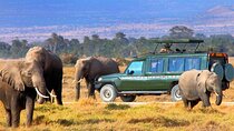 10 Day Explore Kenya Wildlife Private Safari