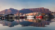 Combo Marine Wildlife Cruise & Cape Town City Full Day Tour
