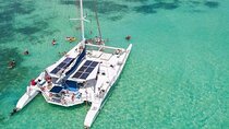 Full Day Island Tour in Isla Saona from Punta Cana