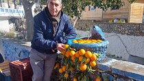 Private Day Tour in Chefchaouen and Tetouan Morocco