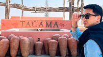Tacama Wine Experience and Pisco Museum and Pisco Sour Class