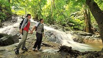Discover FRIM UNESCO Forest with Expert Guide, Batu Caves & More
