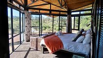 4 Day Greenfire Game Lodge Safari