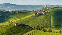 Full-Day Private Piedmont Wine Tour Experience from Torino