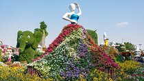 Miracle Garden and Butterfly Garden Combo 