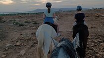 The Horse ride at the Suburbs of Fez (with lunch) 