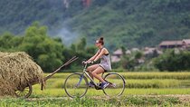 From Hanoi: Discover the Tranquil Beauty of Mai Chau by Bicycle