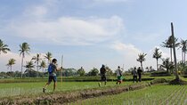 Bali Village Trekking Tour