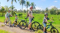 Bike ride in the rice fields, Bali countryside