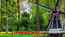 Exclusive Private Keukenhof and Tulip Fields Tour 